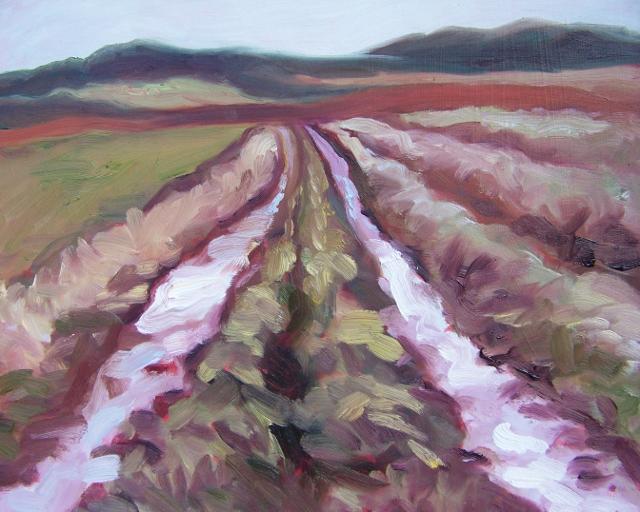 Landscape study #1